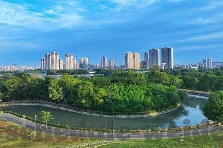 百家乐有路子吗-百家乐，探索娱乐与机遇的交汇点